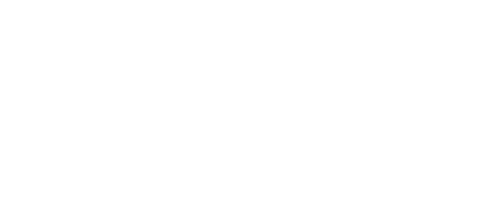 Carve Consulting